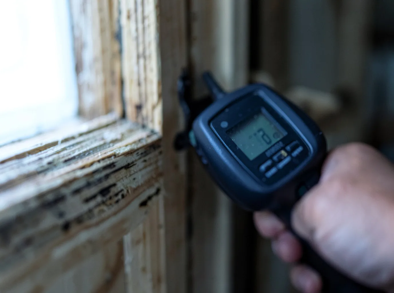 Moisture Inspection And Documentation in Teec Nos Pos, AZ